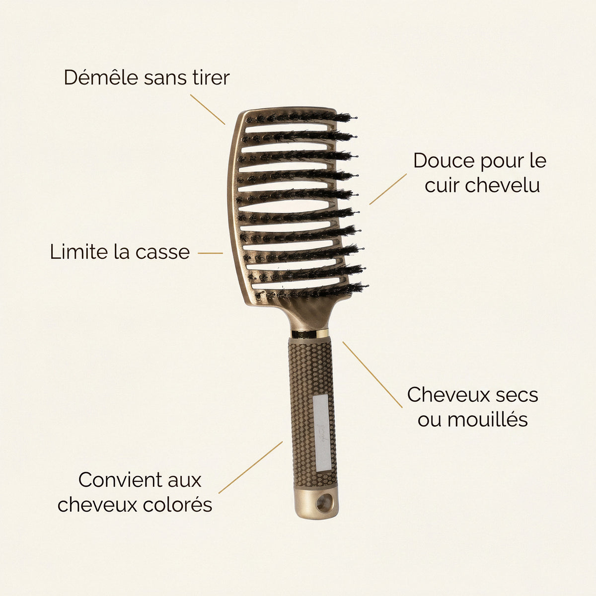 G3 — infographie