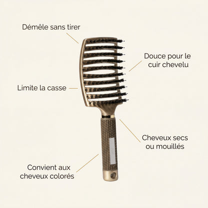 G3 — infographie