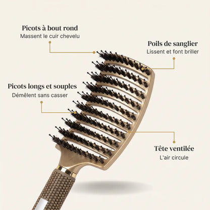 Infographie anatomie de la brosse GMH : picots à bout rond, picots souples, poils de sanglier, tête ventilée