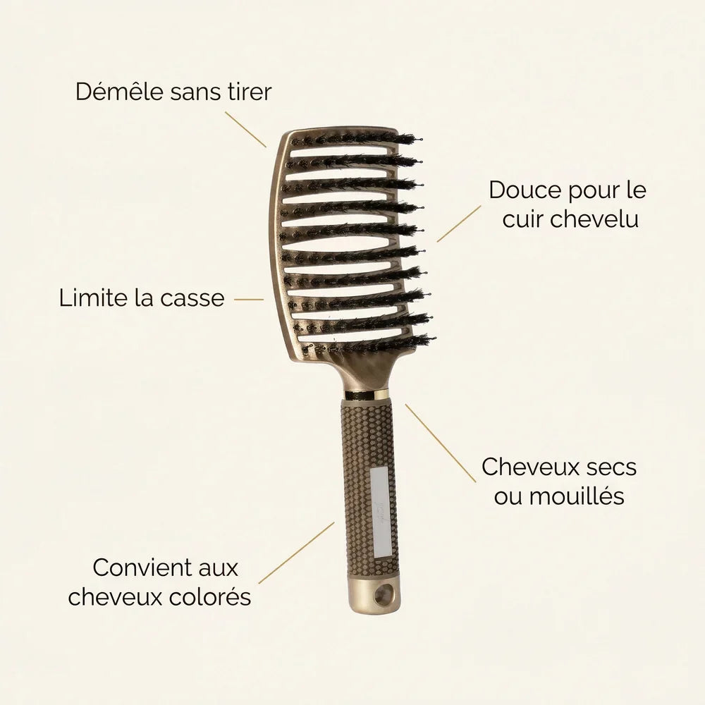 G3 — infographie