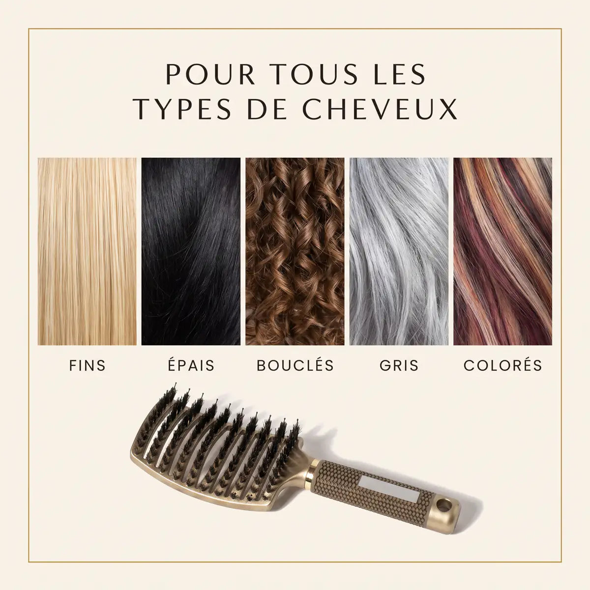 Infographie : la brosse GMH convient à tous les types de cheveux — fins, épais, bouclés, gris, colorés