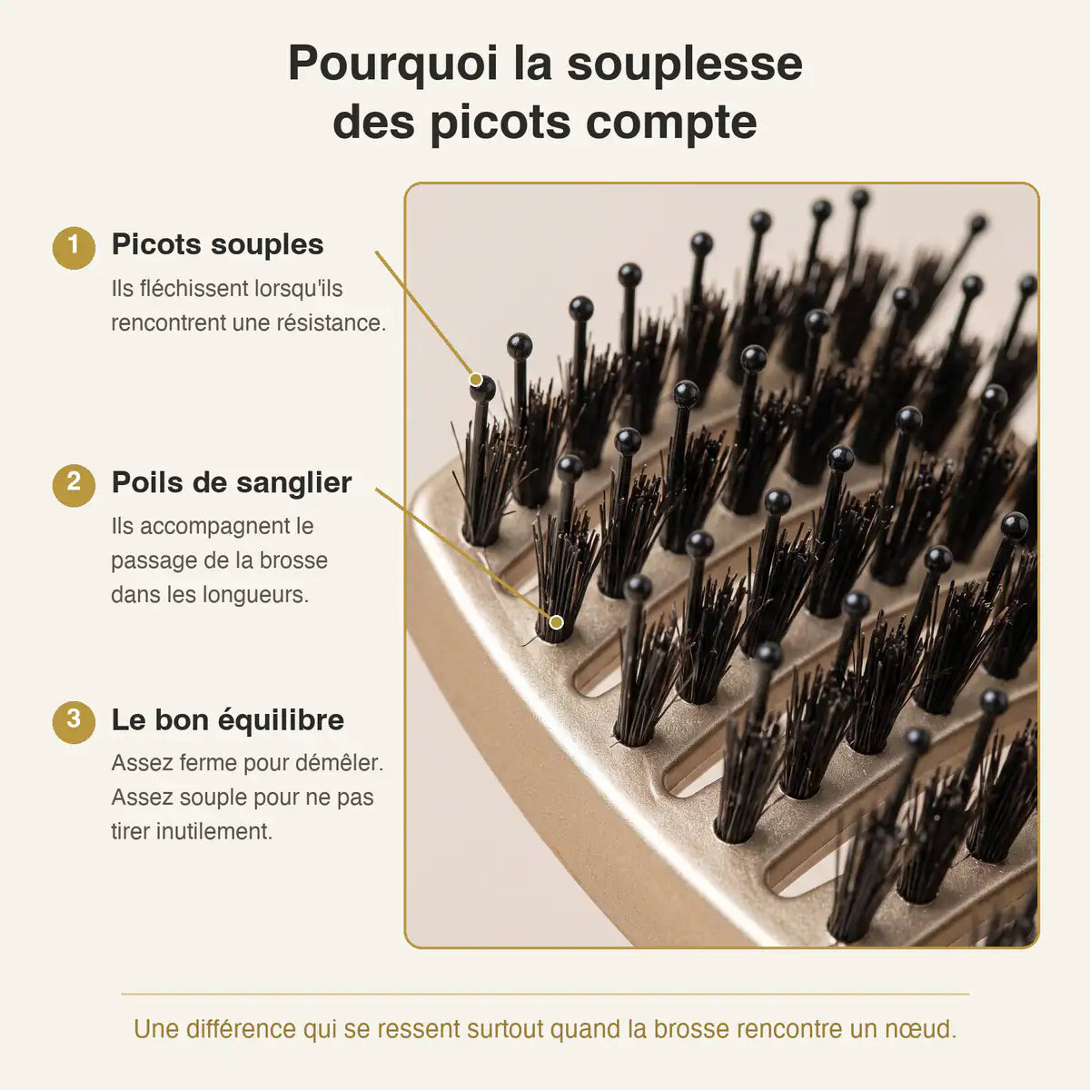 Pourquoi la souplesse des picots compte : picots nylon qui fléchissent, poils de sanglier, le bon équilibre pour démêler sans tirer.